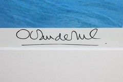 ONNE VAN DER WAL LARGE 48″ PHOTO GICLEE PRINT SIGNED NUMBERED RED BOW IN BAHAMAS