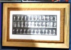 Eadweard Muybridge FRAMED PHOTOGRAPHIC SET Cinema art
