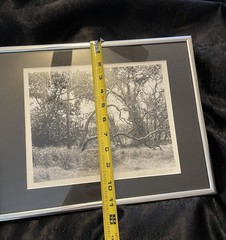 Vintage hand signed original photograph Sycamore Grove Livermore, CA 1996 14×11