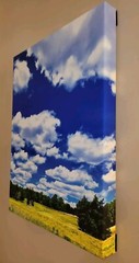 Canvas Photo Clouds Over A Golden Field Haw River, NC 16×20 Ltd Ed Signed