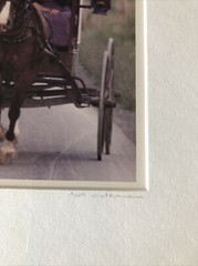 Bill Coleman Amish Children “Wide Load” 4/350 Numbered Framed Photograph