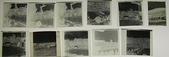 Hamburg? Free Swimming Pool Tower Jumping 16 x Genuine historical negatives