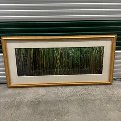 Peter Lik «Bamboo» 1.5M Framed Picture SOLD OUT – With COA