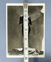 Josephine Baker 1930 Art Print Card Photo By George Hoyningen-Huene 4”x6”