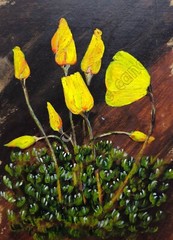 Yellow Tulip Flowers Green Sagebrush Art DIGITAL DOWNLOAD Print at Home Décor