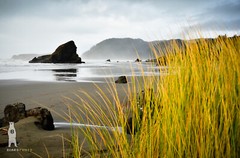 Myers Beach – Southern Oregon Coast – Fine Art Photography Prints by Bear8Photo