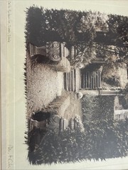 Alan Blaustein Signed – “Orto Botanico, Siena, Italia”
