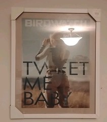 Photo Art 16” X 22” Framed