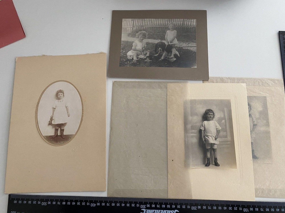 Photo Hunting Family Carriage around 1900 Estate