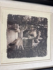 Alan Blaustein Signed – “Orto Botanico, Siena, Italia”