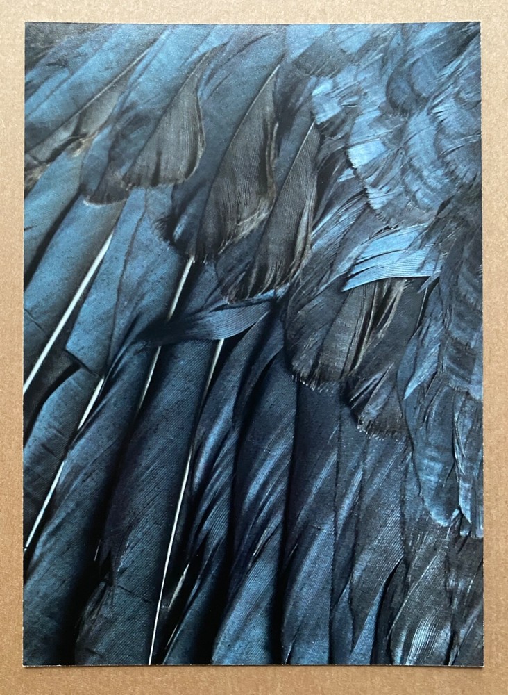 JUDY TUWALETSTIWA signed limited edition photograph – FOUR Portfolio (2022)