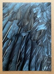 JUDY TUWALETSTIWA signed limited edition photograph – FOUR Portfolio (2022)