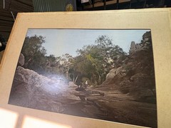 c.1900 Hand-Tinted Albumen Photograph Indigenous Landscape in Burr-Walnut Frame