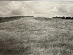 Dick Arentz, Wheatfield, Torhouse, Scotland, 1985, Palladium / Platinum Print