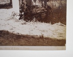 Vtg Italian Villa Photograph: 8964 Dettaglio della scala, Villa d’Este – Tivoli