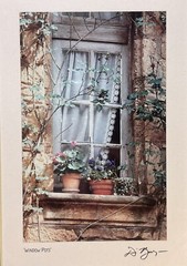 DENNIS BARLOGA Listed Artist «Window Pots» Photograph Signed Framed 1992