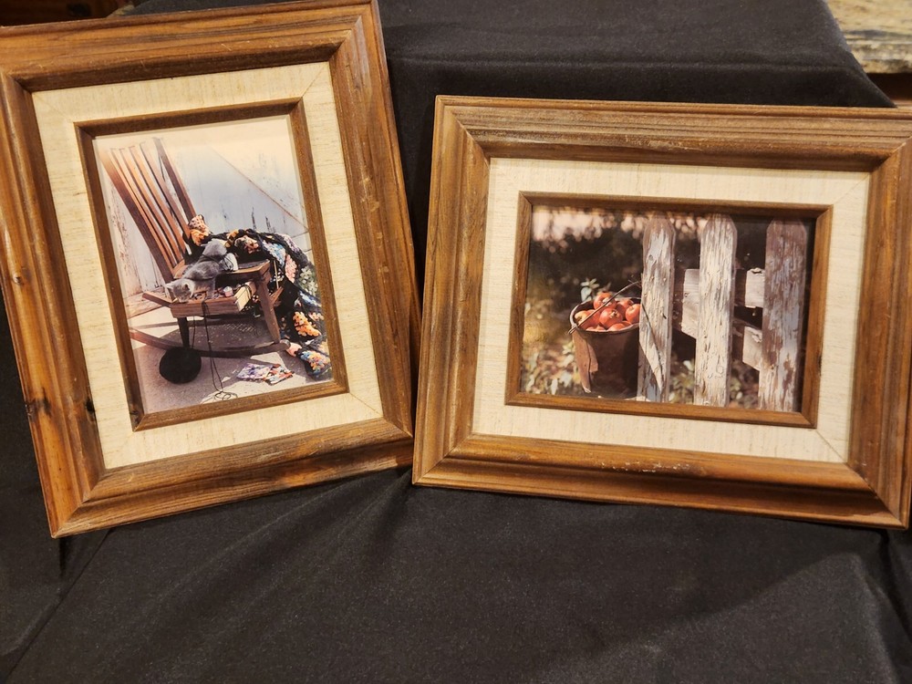 Set of 2 Art Gore Prints in Wooden Frames