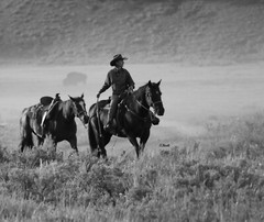 10 x 10in Hardboard Gloss Photo Panel Cowboy Towing Horse With Buffalo