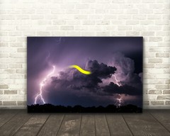 Lightning storm photography print firefly bug picture nature wall art photo