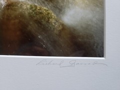 Richard Garrod, color 10.5×13 image on 16x 20 matte, photography art original