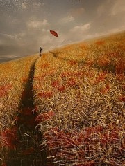 Mixed Media: Certified «Wind» Photo Art Print by Christine Ellger