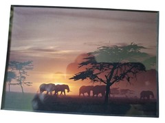 Artwork SUNRISE ELEPHANTS Original James Green Peaceful Nature Photograph 10×12