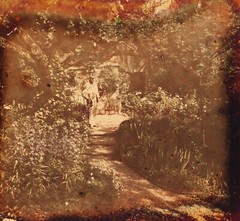 FRANCE Garden Trees Flowers C1910 Photo Autochrome Plate Stereo Vintage