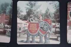 Circus World Museum Baraboo Wisconsin Set of 5 Vintage Photographs 3″ x 3″