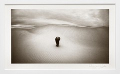 RYUIJIE 2019 FIGURE – OCEANO DUNES 4″X8″ PLATINUM PHOTOGRAPH – MAKE AN OFFER