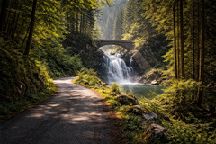 AI Generated Forest Path Waterfall Bridge Nature Landscape Wall Art 45