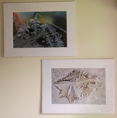 H. David Stein Matted Fine Art Photography Prints 24″X 18″ Lot Of Two (2)