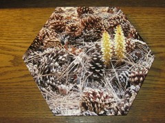 BEARCORN LOOKS LIKE, wall hanging, Photo-printed-on-metal hexagon, 11×9.5 inches