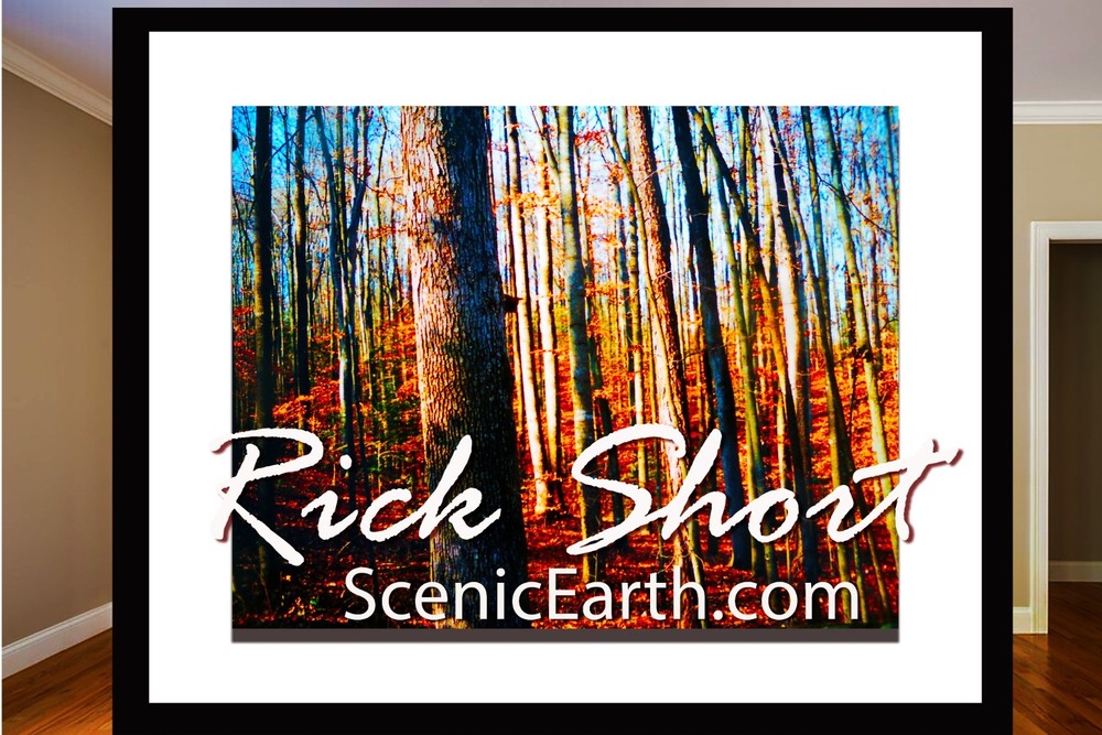 Autumn Fall Color Fine Art Photography Matted & Framed Artwork The Call of Fall