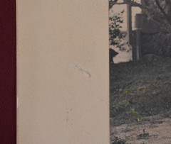 Vintage Colorized Photograph Print of Two Women Walking in a Garden