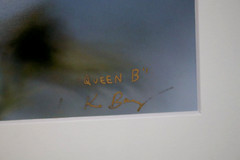 Queen Butterfly Wildlife Photo 8″ x 10″ in 11″ x 14″ Matte Signed by Kim Barry