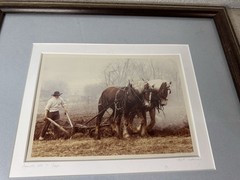 Bill Coleman Amish No. 11 Photograph 1/750 Farmer Draft Horse Team Plowing Field