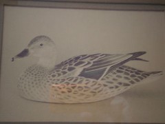 Lot of 2 William Plante Mallard Hen Drake Framed Photographs 1980 Nielsen Frame