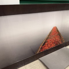 Peter Lik «Secret Morning» 2M Framed Picture 7+ Feet Long Washington Dock