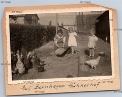 Bernhagen in Pomerania 1940s – Chicken Farm Farm – Ostrzyca Poland – Photo 10x8cm