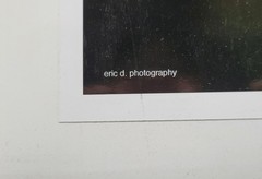 “Flower – Costa Rica” – Erid D. Photography – Vivid Nature in Bloom – 11.5″ × 18