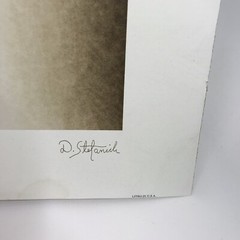 Architecture Litho Dick Diane Stefanich 1998 Shooting Star Collection Vtg 90’s