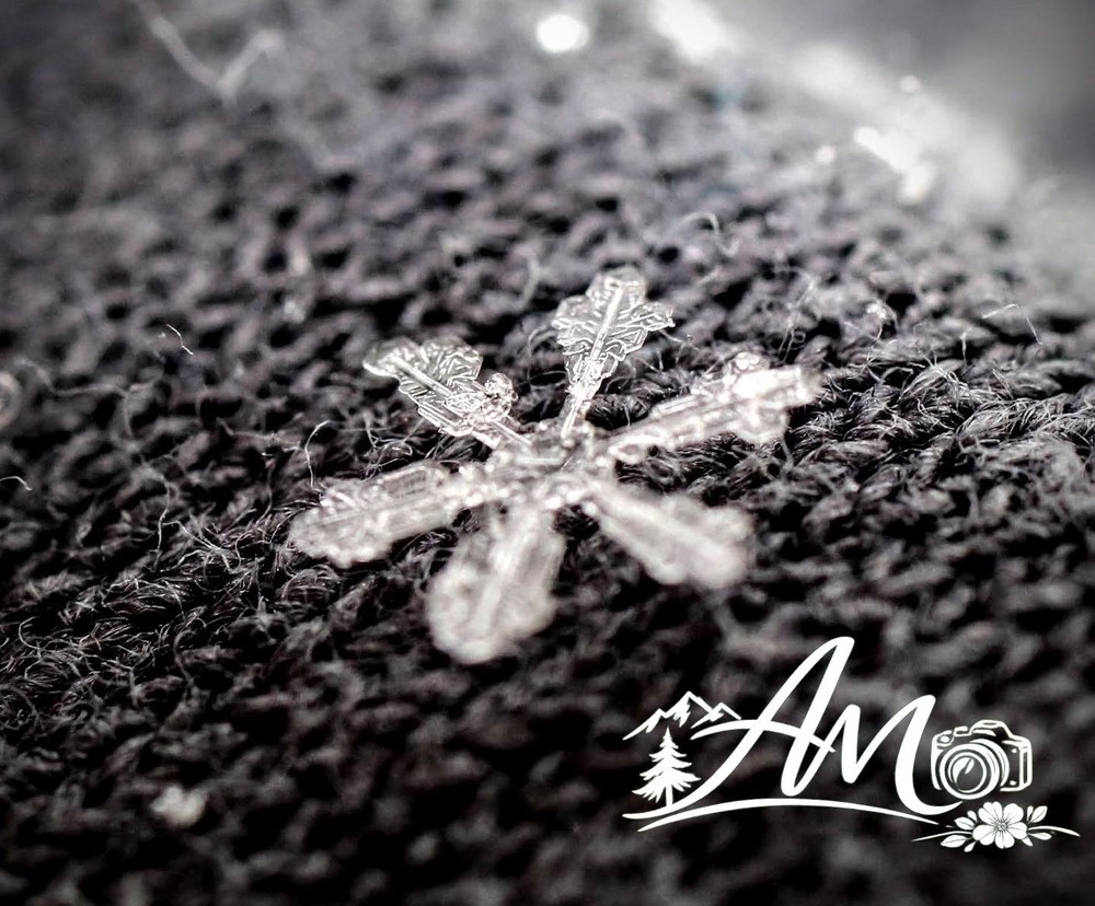 4”x6” Snowflake Print With Photo Mat