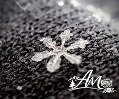 4”x6” Snowflake Print With Photo Mat