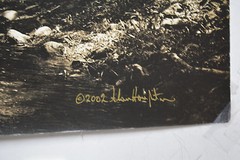 Original Alan Houghton fine art Photography Standing Rock-Two 2002 15 X 20