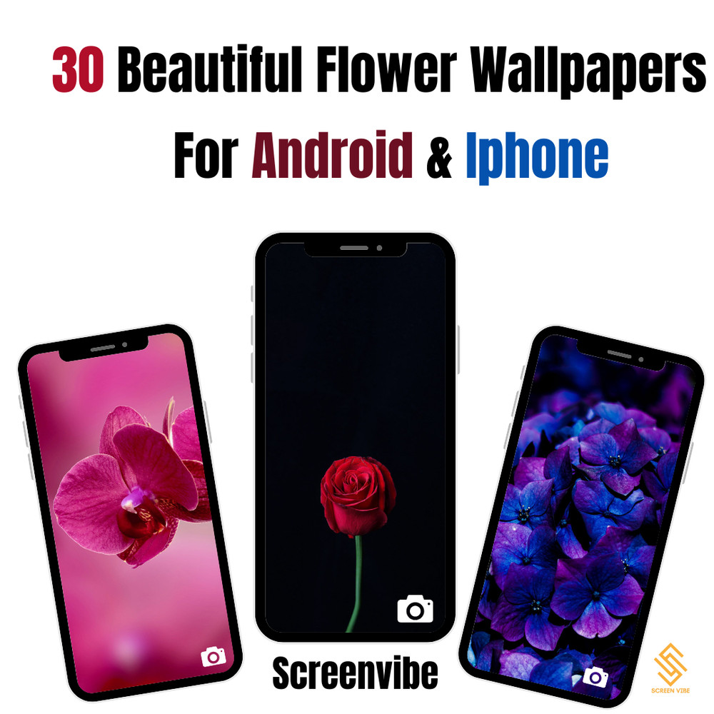 High-Resolution Floral Wallpapers Soft Natural Aesthetic Backgrounds for phones