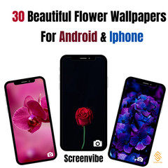 High-Resolution Floral Wallpapers Soft Natural Aesthetic Backgrounds for phones