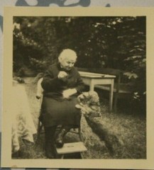 Photo dog dachshund hunting dog woman grandma 1952 K4