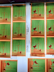 Nitin Vadukul Project 161 Negatives BASELINE Magazine Kodak 160VC Chicken