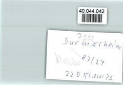 40044042 – 7552 Durmersheim Klosterkapelle Innenaufnahme