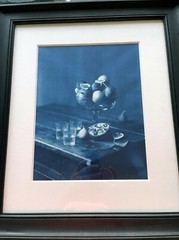 Framed Editioned Cyanotype Photography by John Dugdale